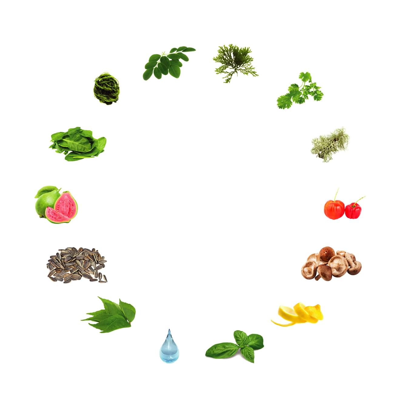 BIOVIT Feature